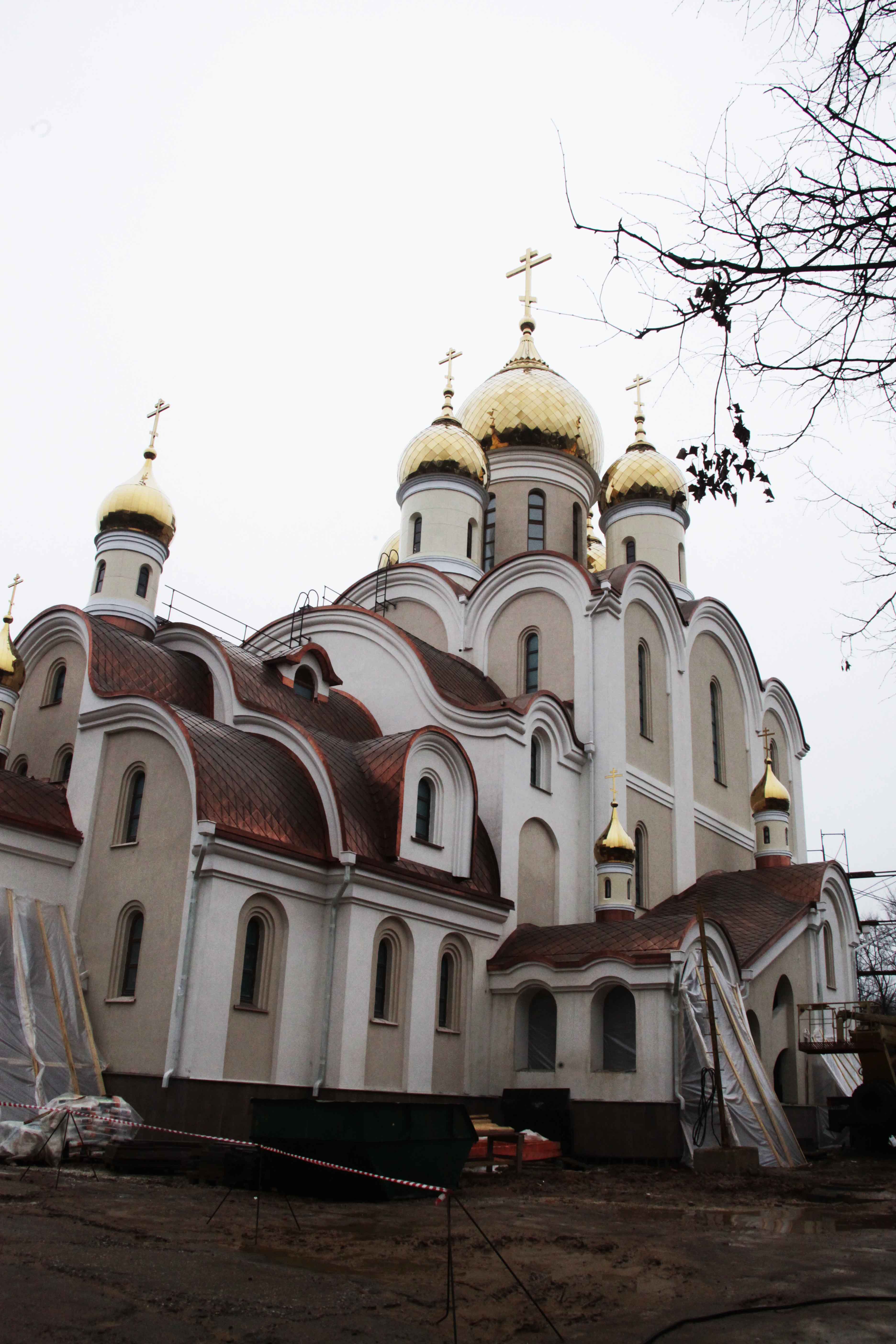 Храм блаженной Матроны Московской в Дмитровском