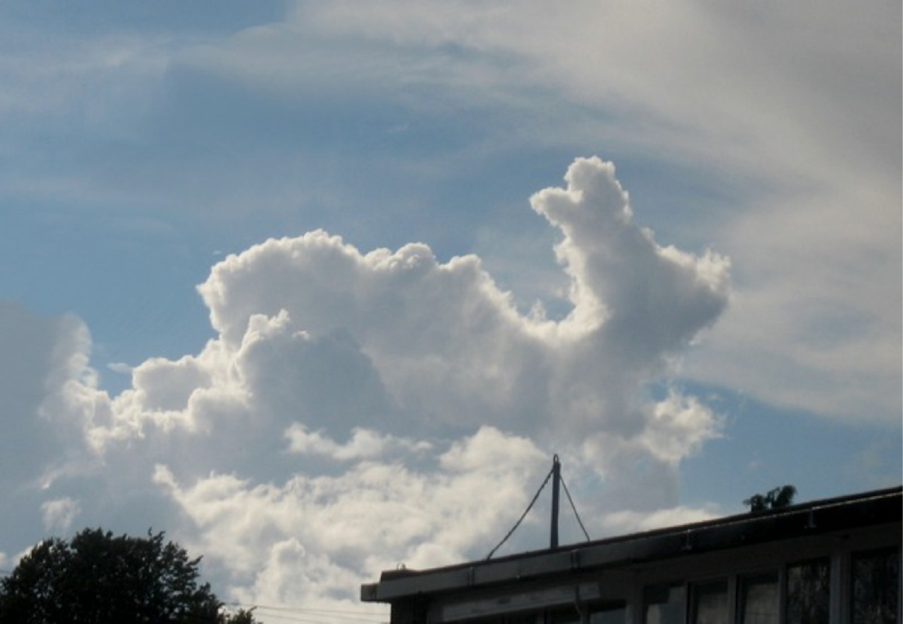 фото облаков похожих на животных