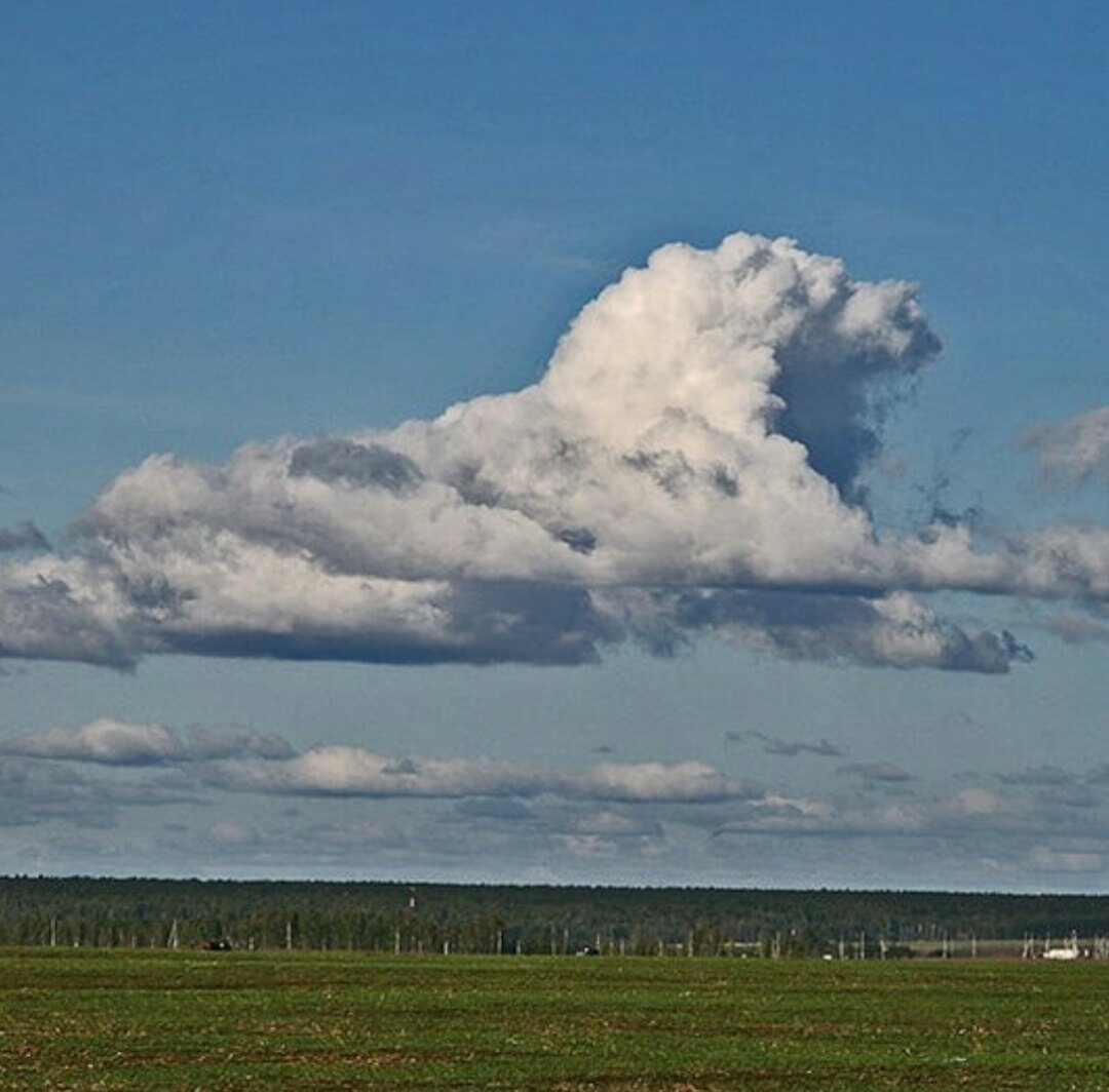 Облака похожие на животных