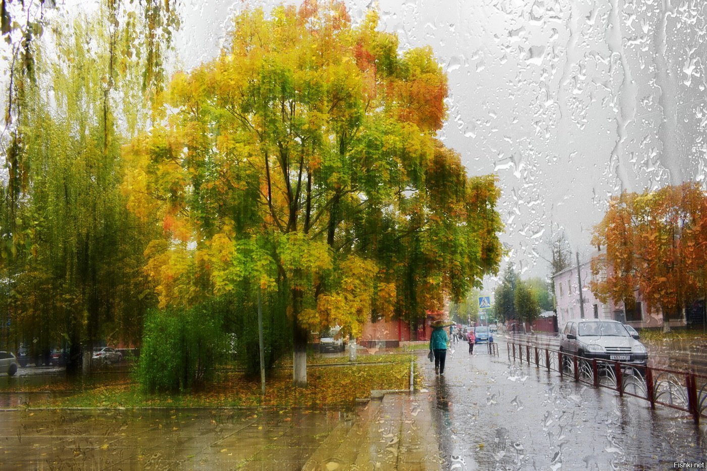Октябрьский Дождь Картинки