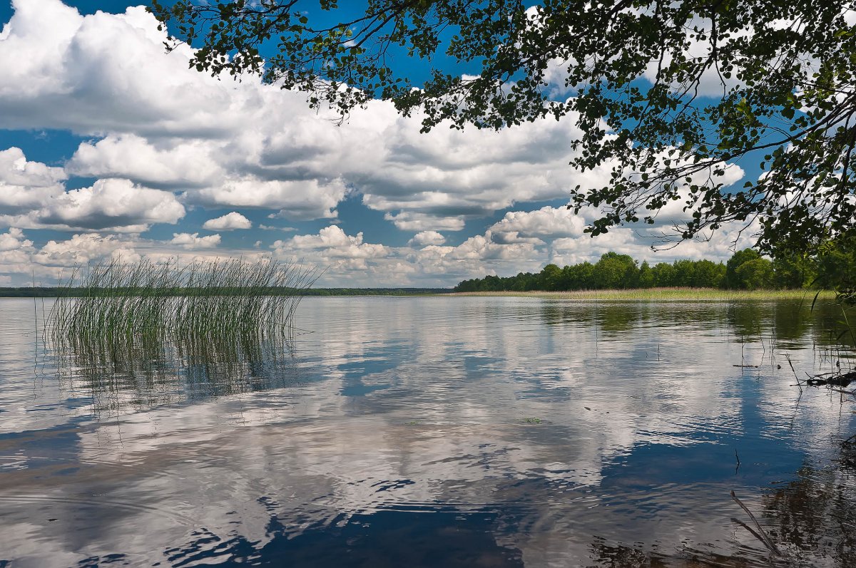 Богинское озеро Белоруссия
