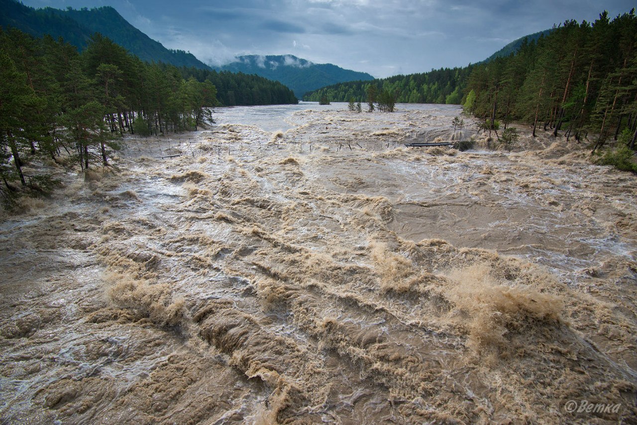 Наводнение 2014 горный Алтай