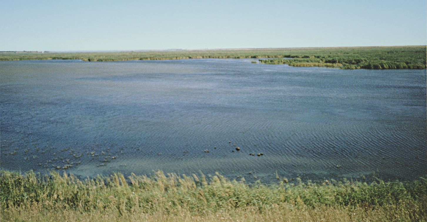 Река Маныч Ростовская область фото