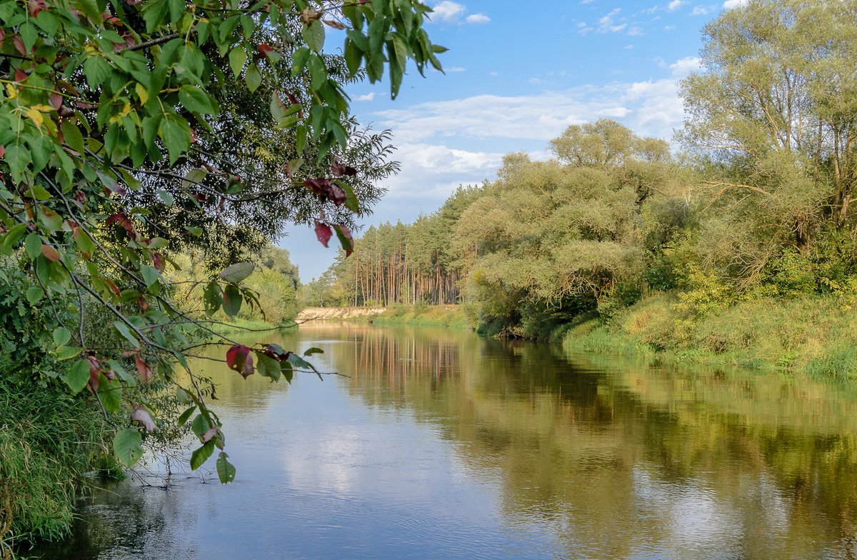 Река Болва Брянск
