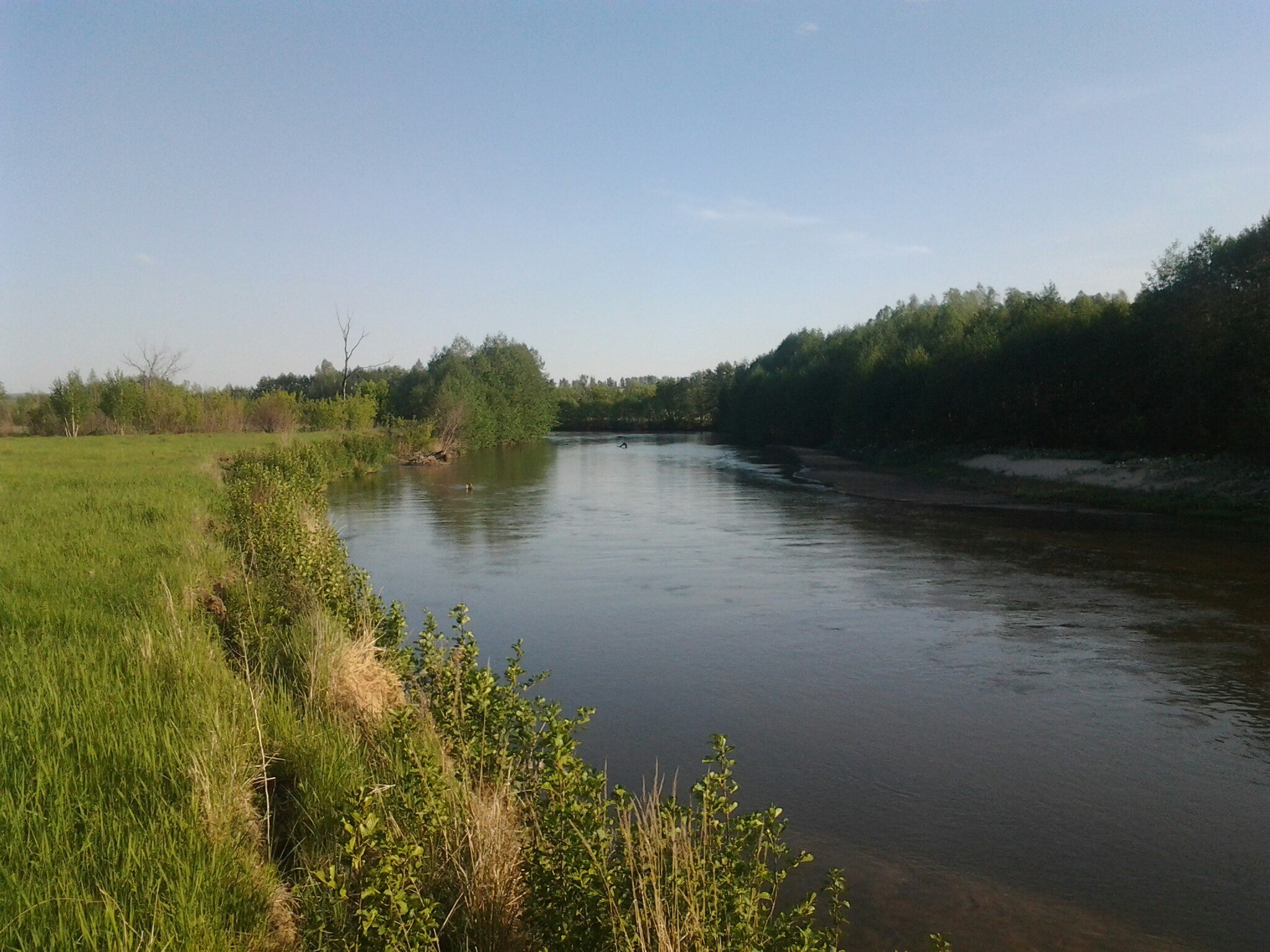 река волга сызрань