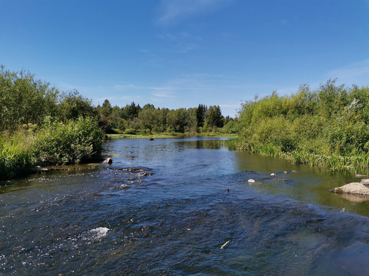 Река Кушва Свердловская область