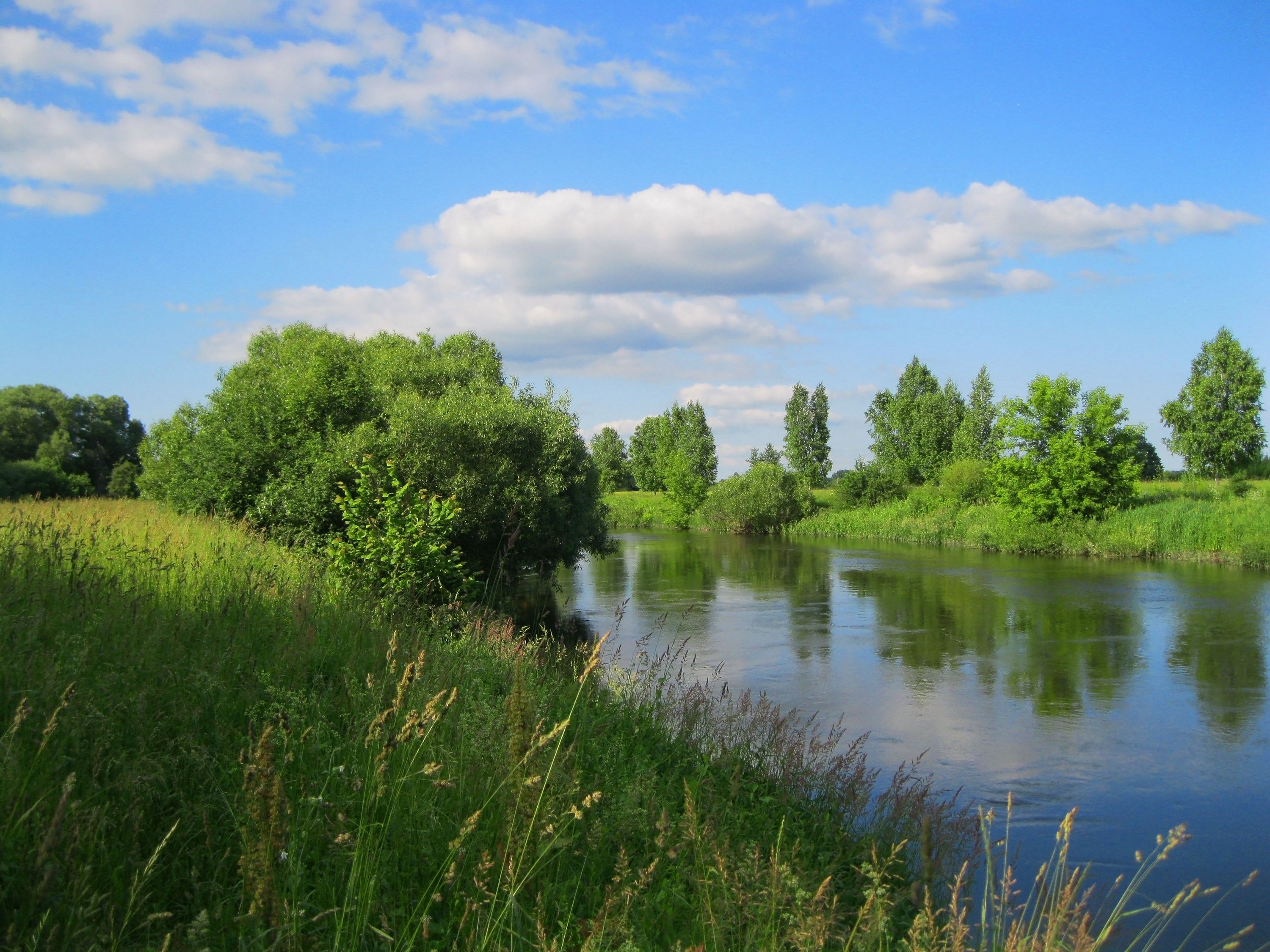 Река Горынь Беларусь