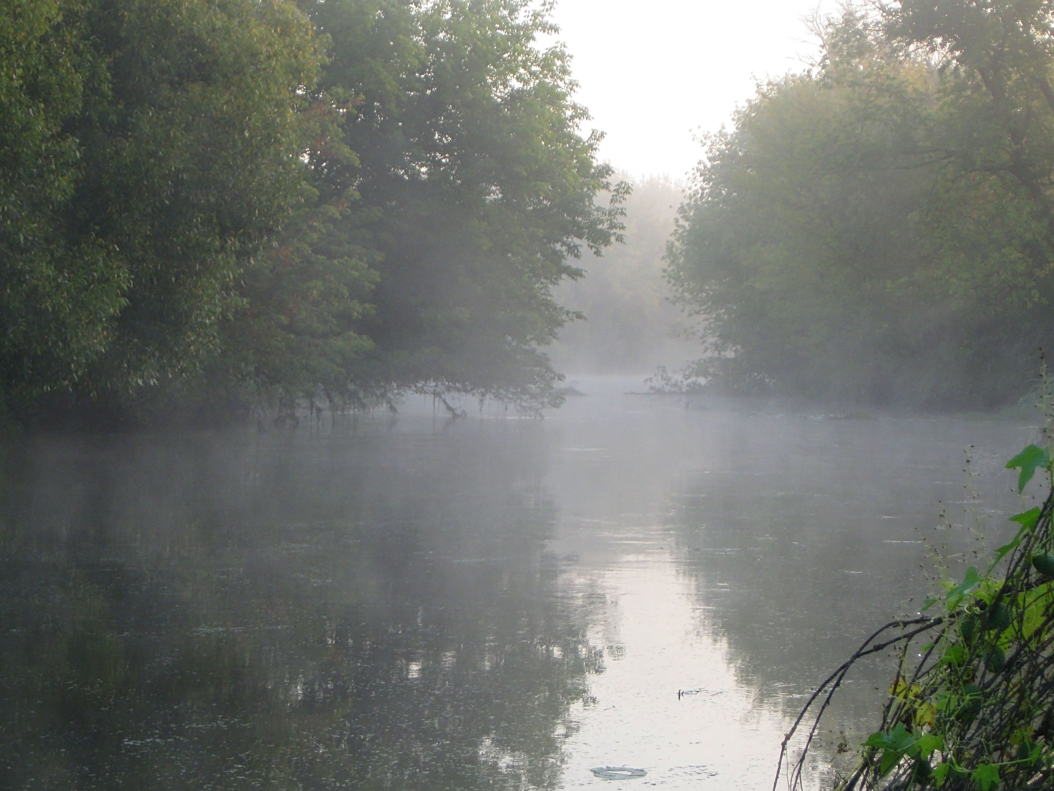 Фото туман река-приток