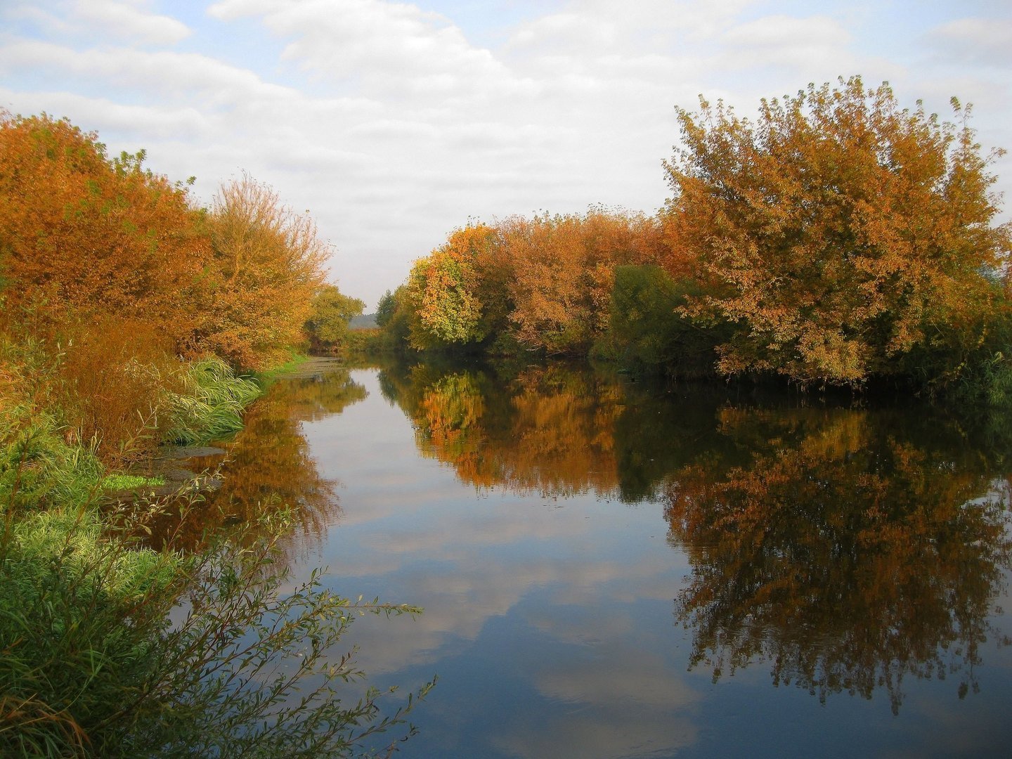 река горынь