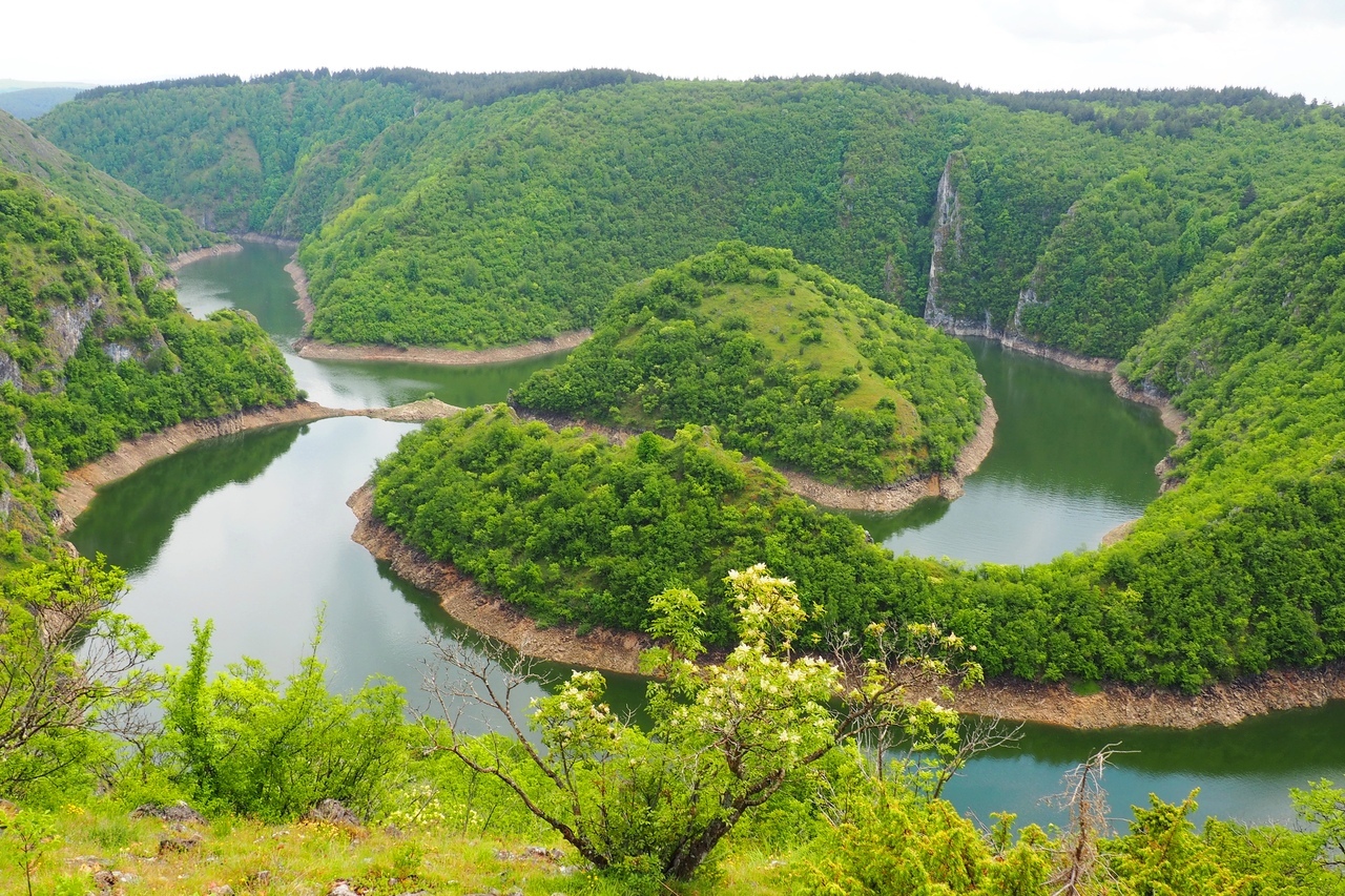 Каньон реки Дрина Сербия
