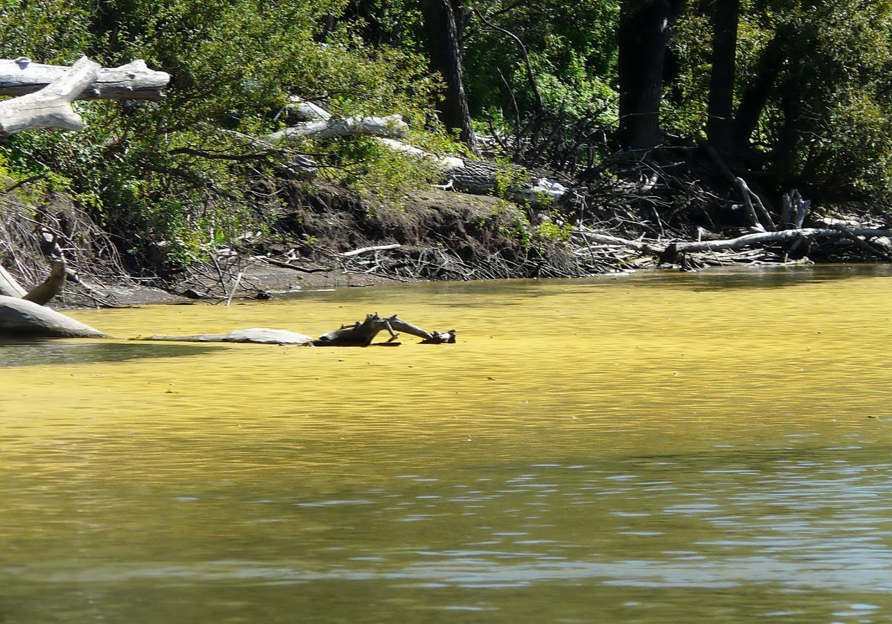 Желтая речка