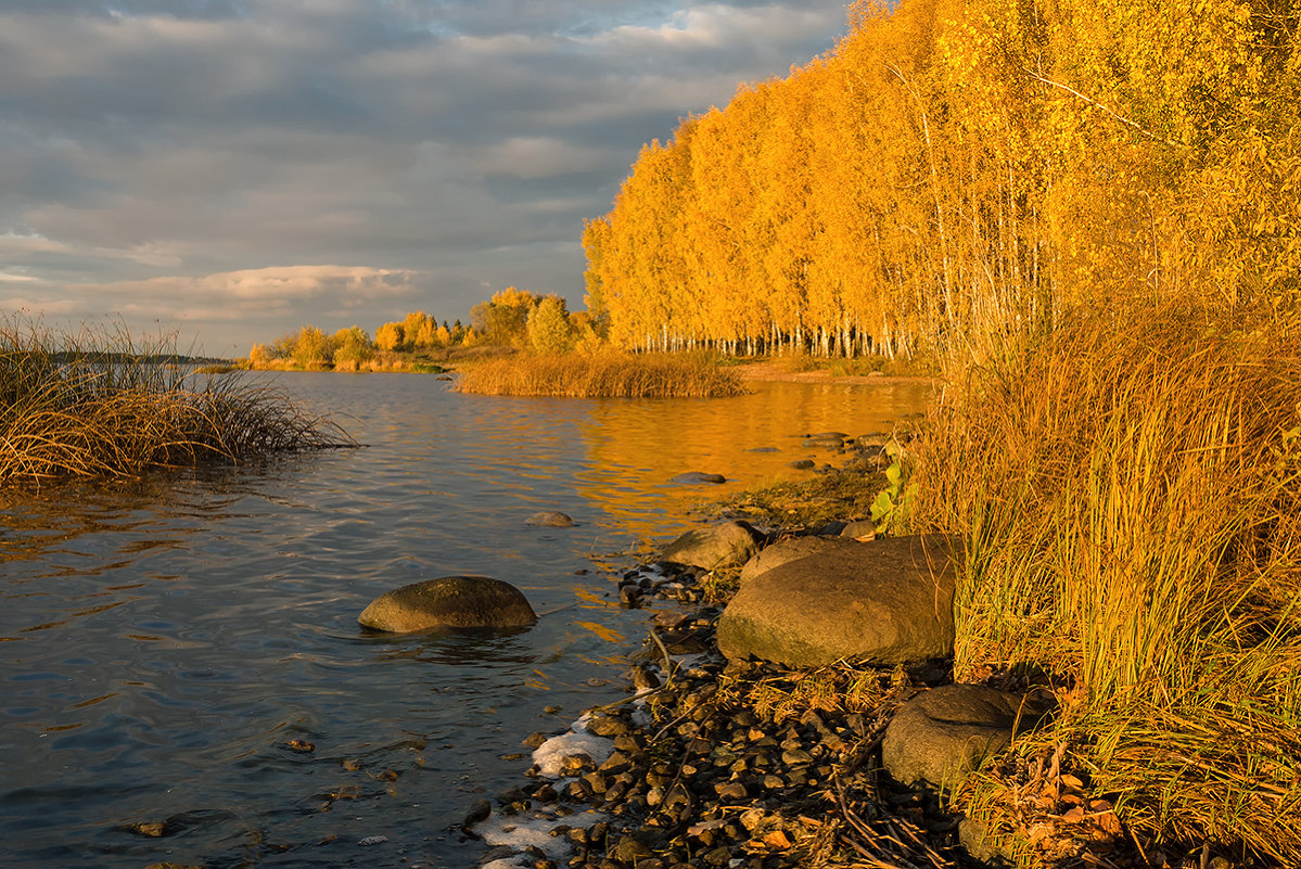 Осень на Волге Ярославская область