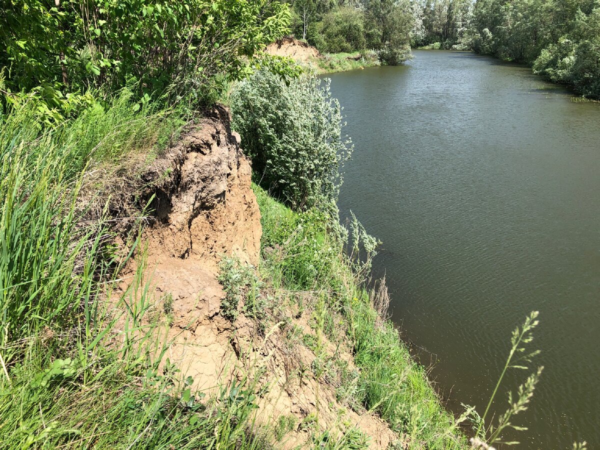 Река Каканаут Шеханов