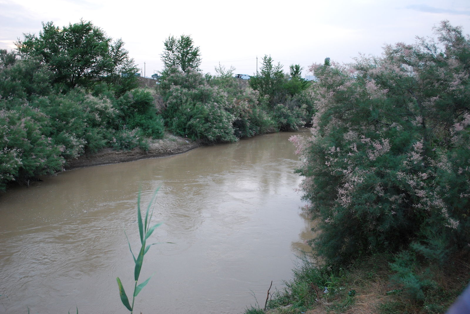 Река Калаус Светлоград