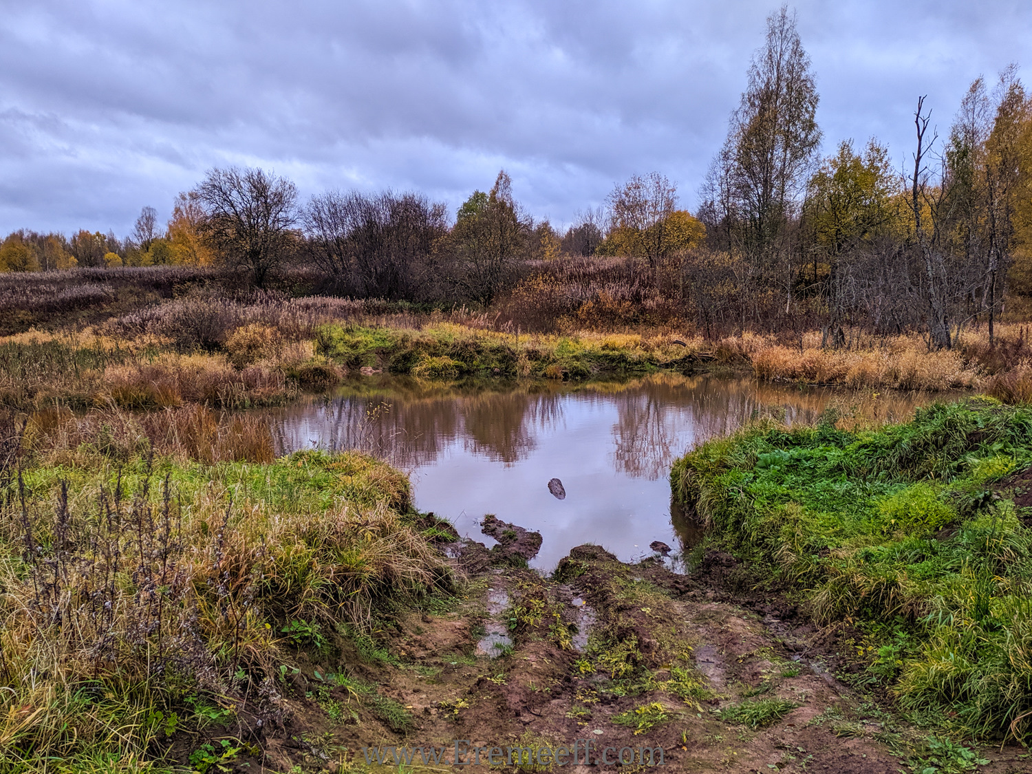 река лава ленинградская область