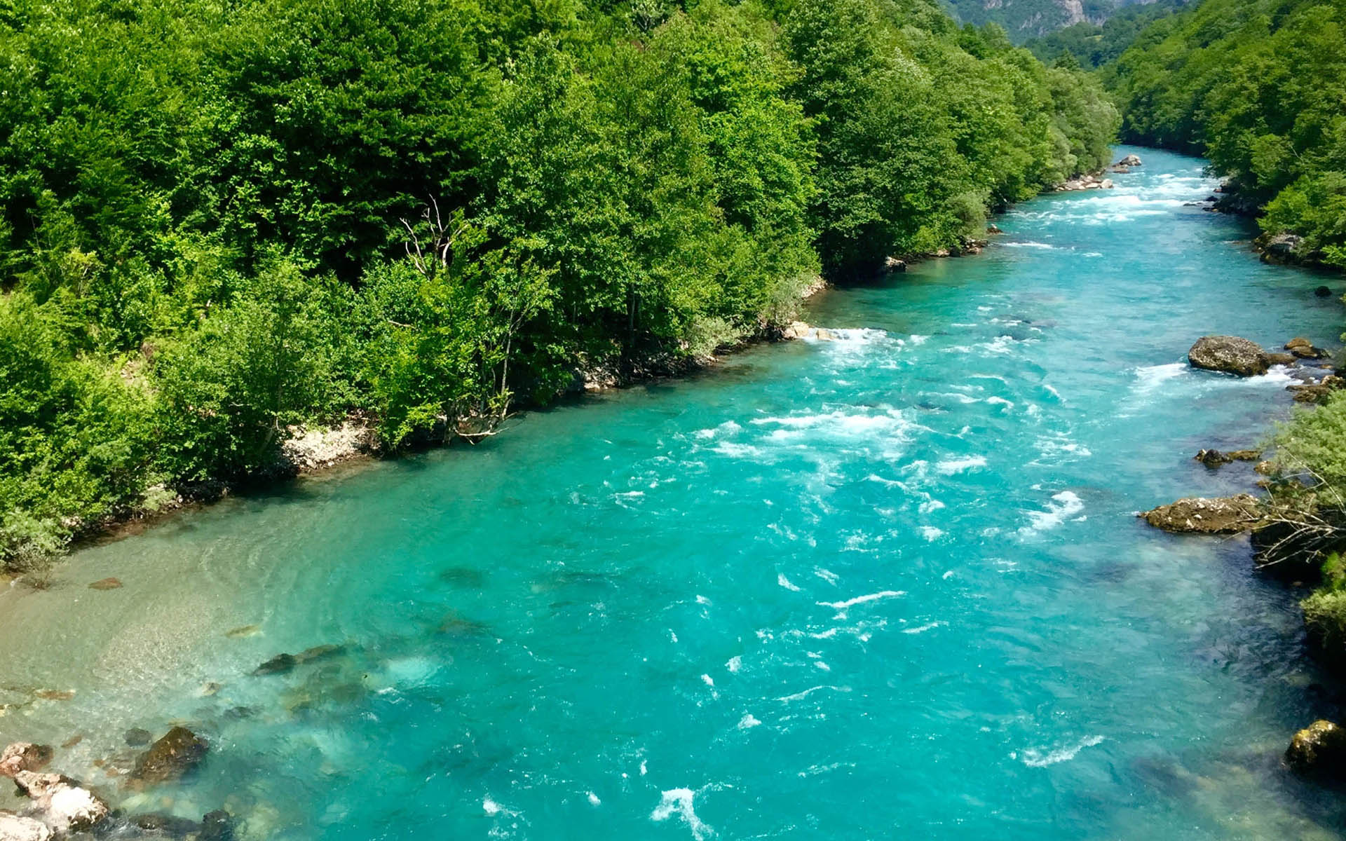 Река тара Черногория ее чистота