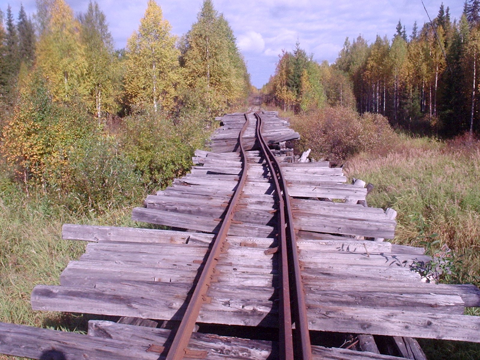 Узкоколейка Туголесье