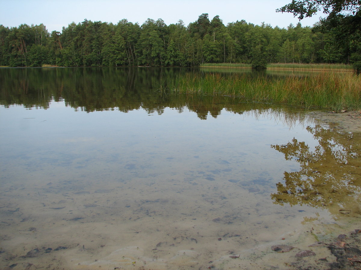 Озеро Жерино Брянская область