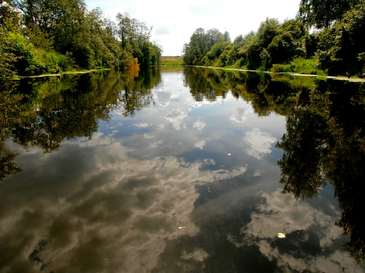 фото рек московской области