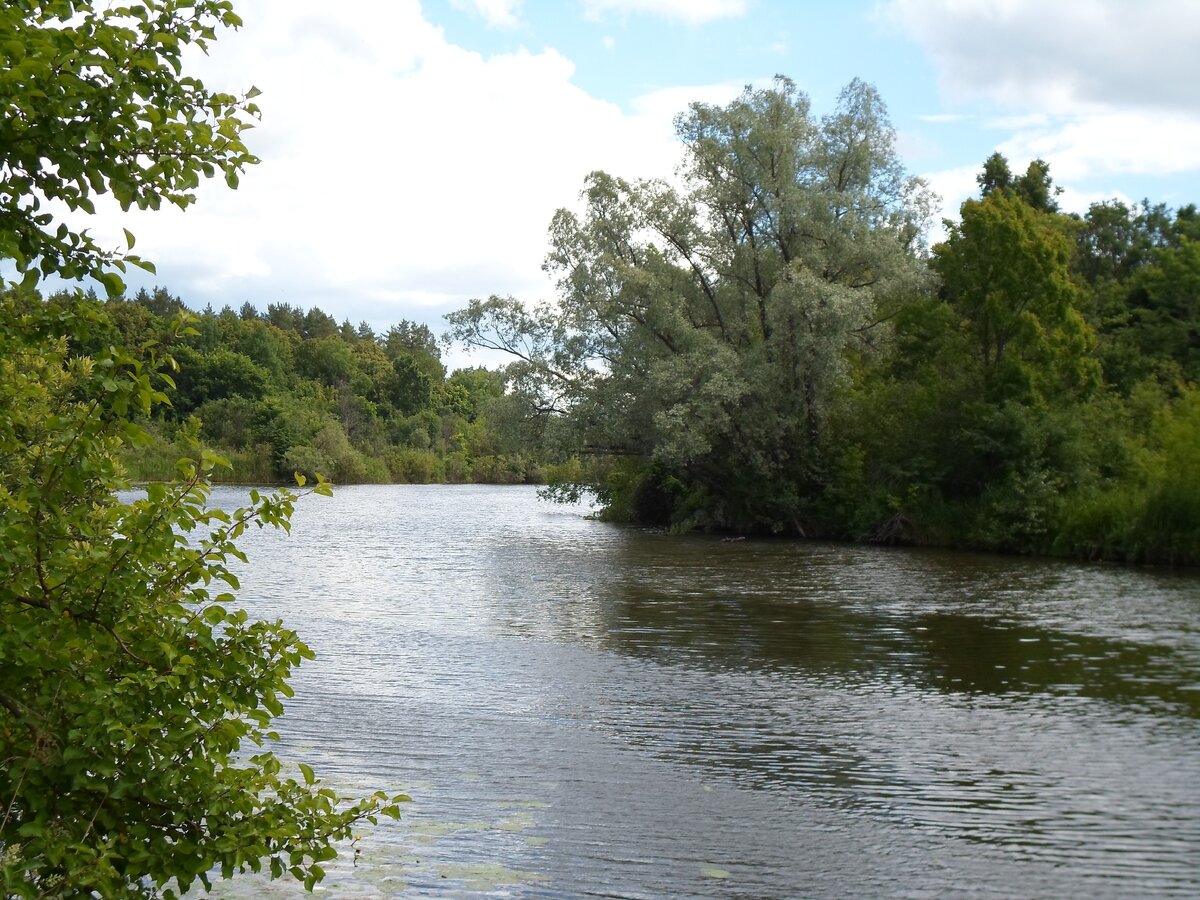 пьяна река в нижегородской