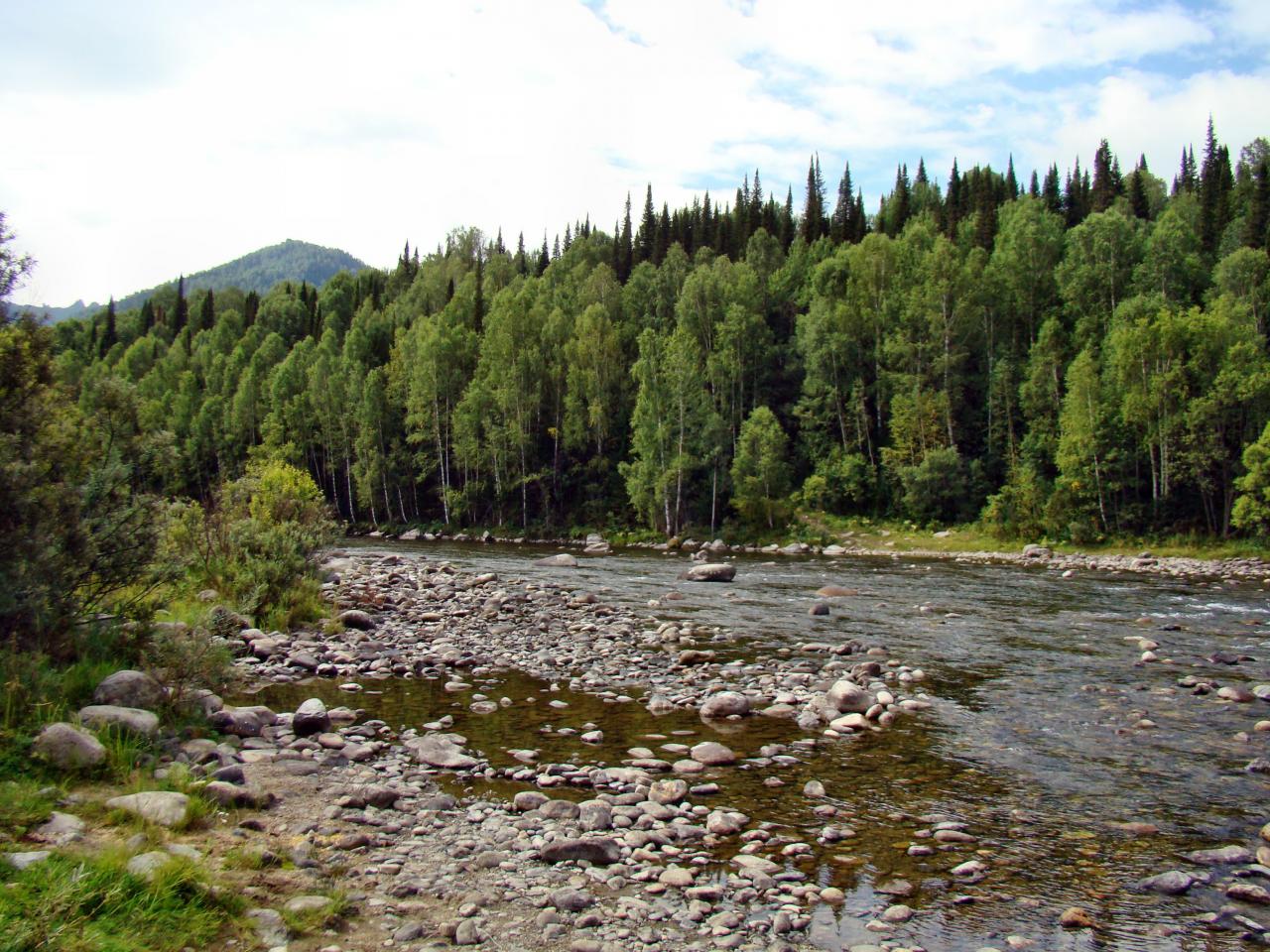 Река Иня Алтайский край Краснощековский район