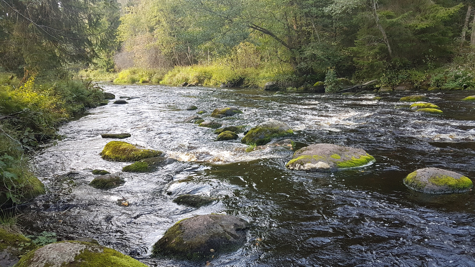 река водла