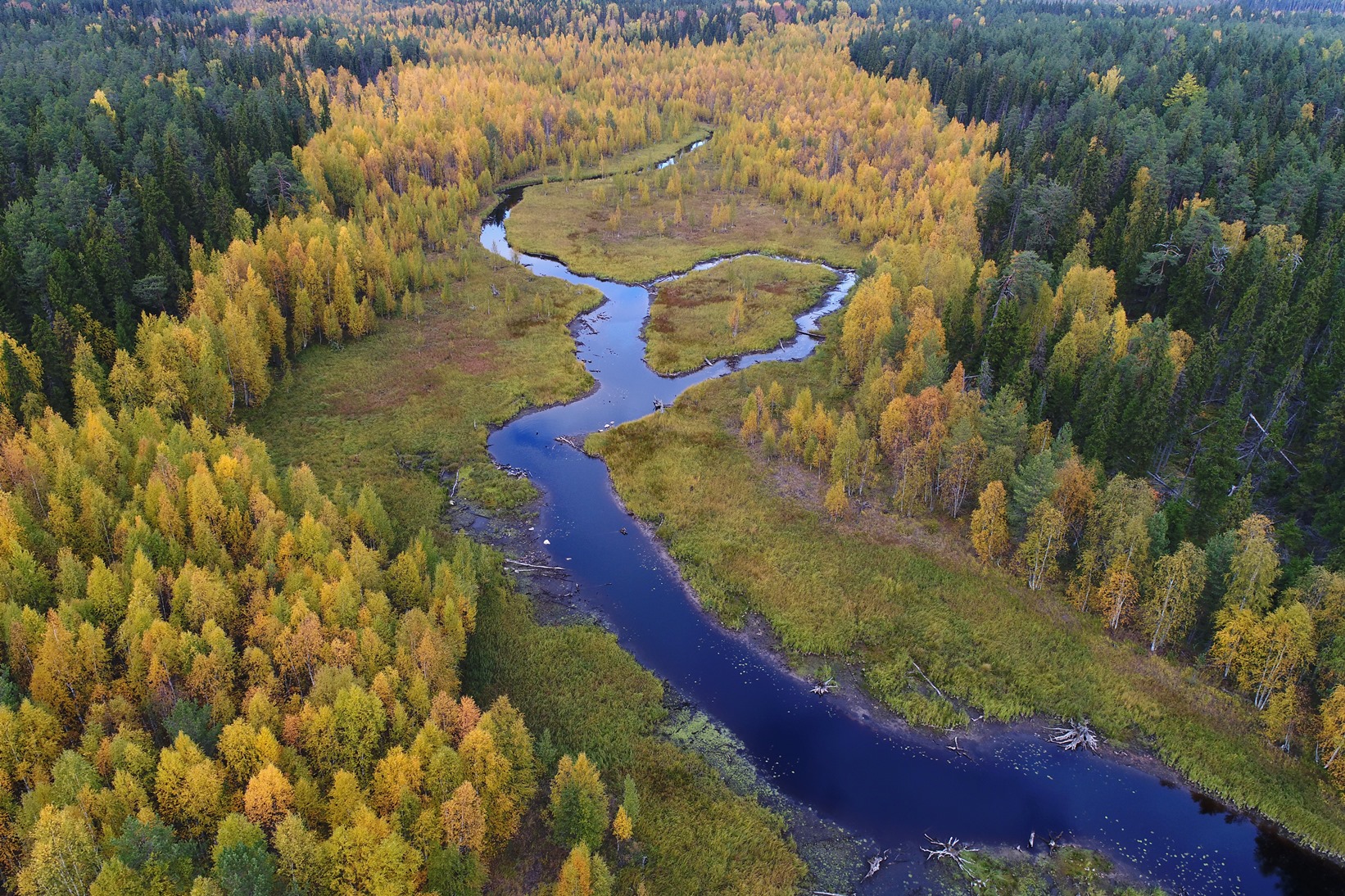 Водлозерский национальный парк