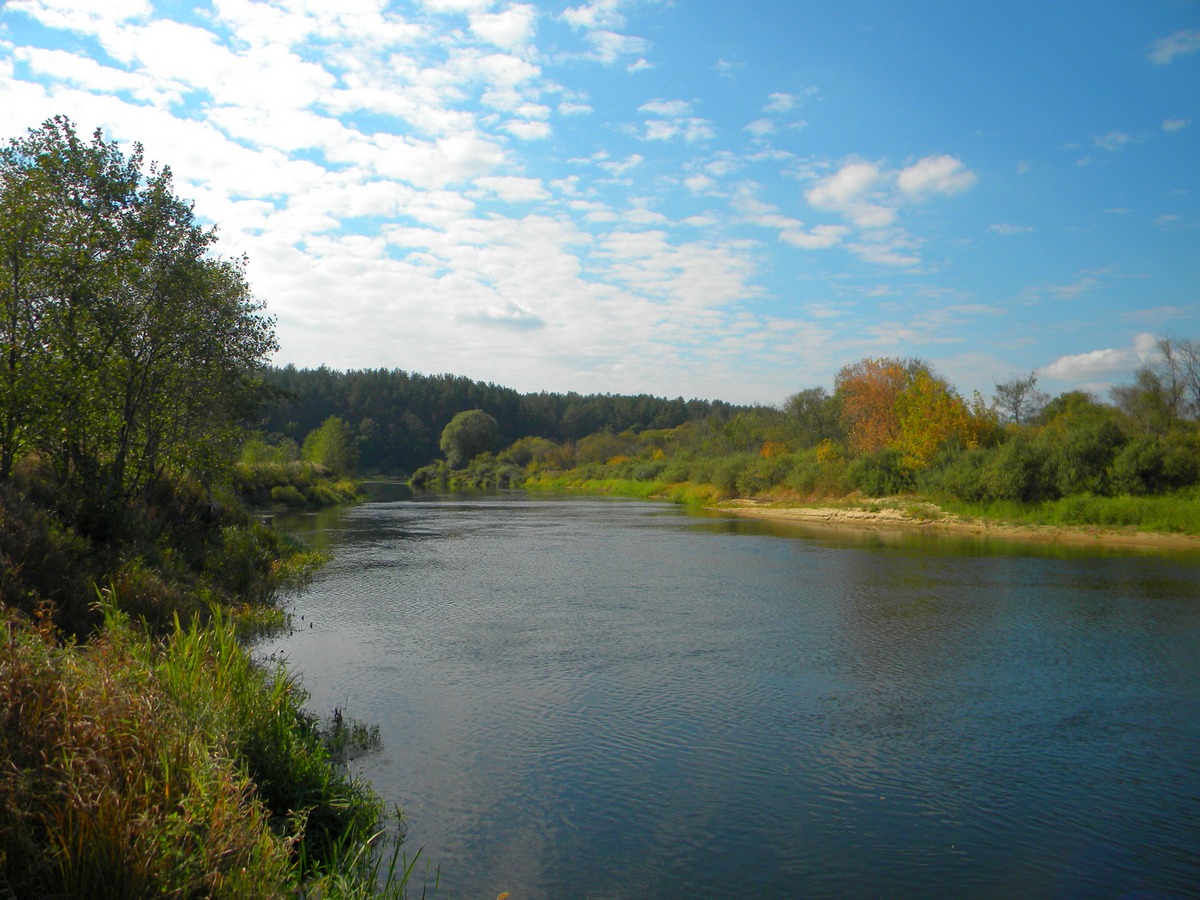 Река Ипуть Брянская