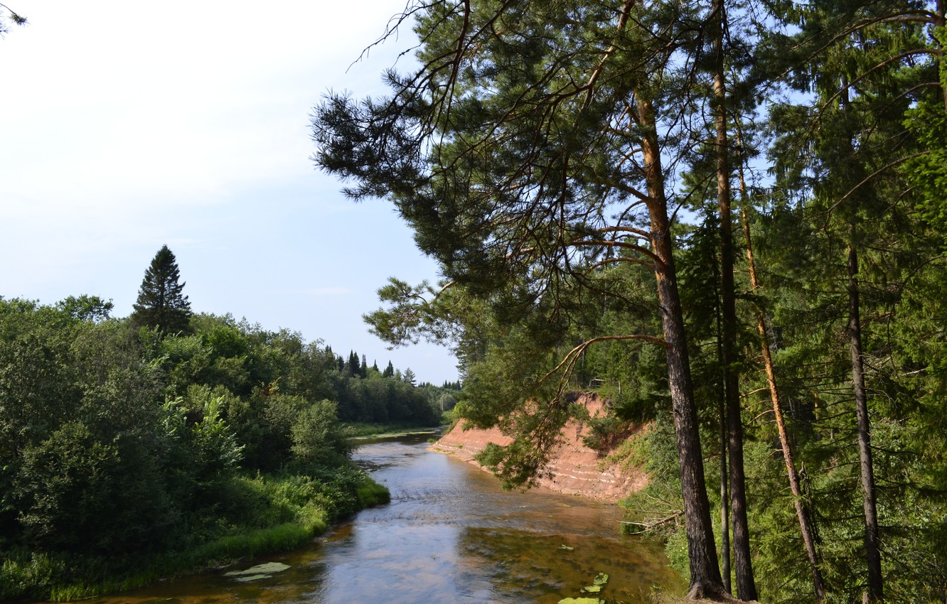 Сосна Бор река