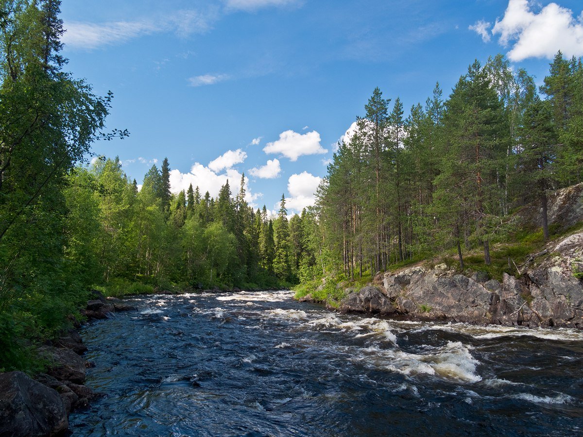 реки карелии