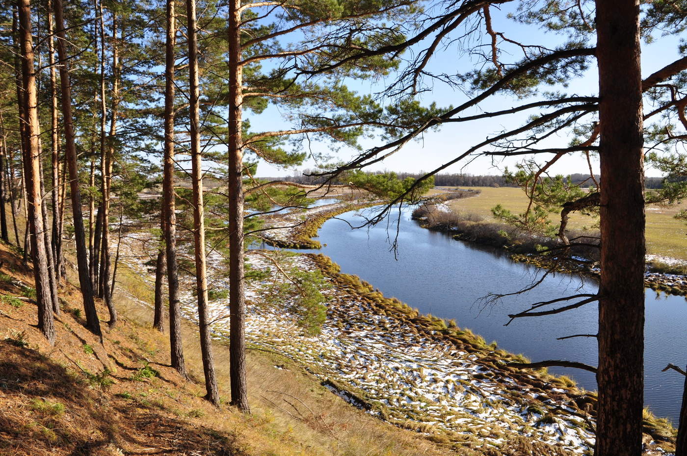 Речка Таежная Томская область