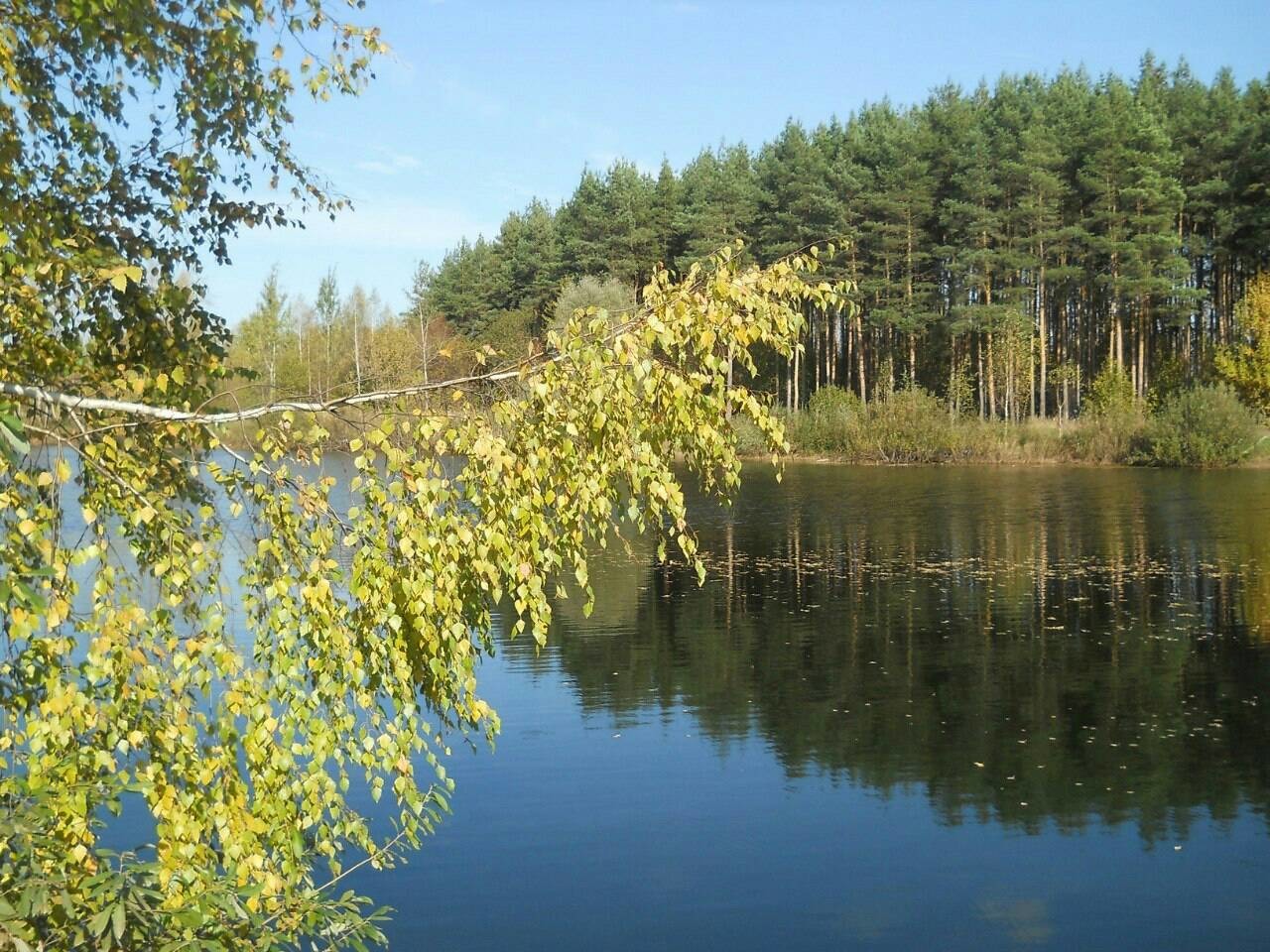 Озеро на Петряевке