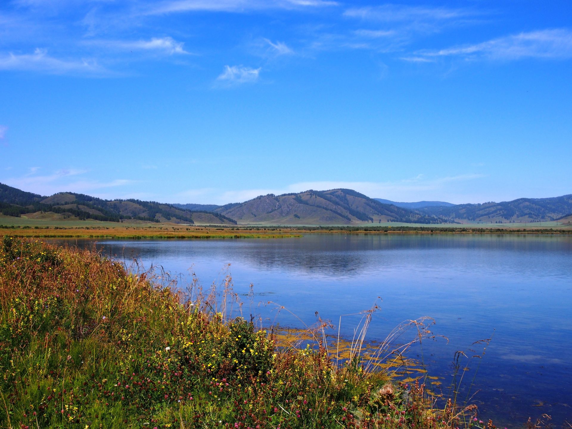 Озеро Теньгинское Алтай