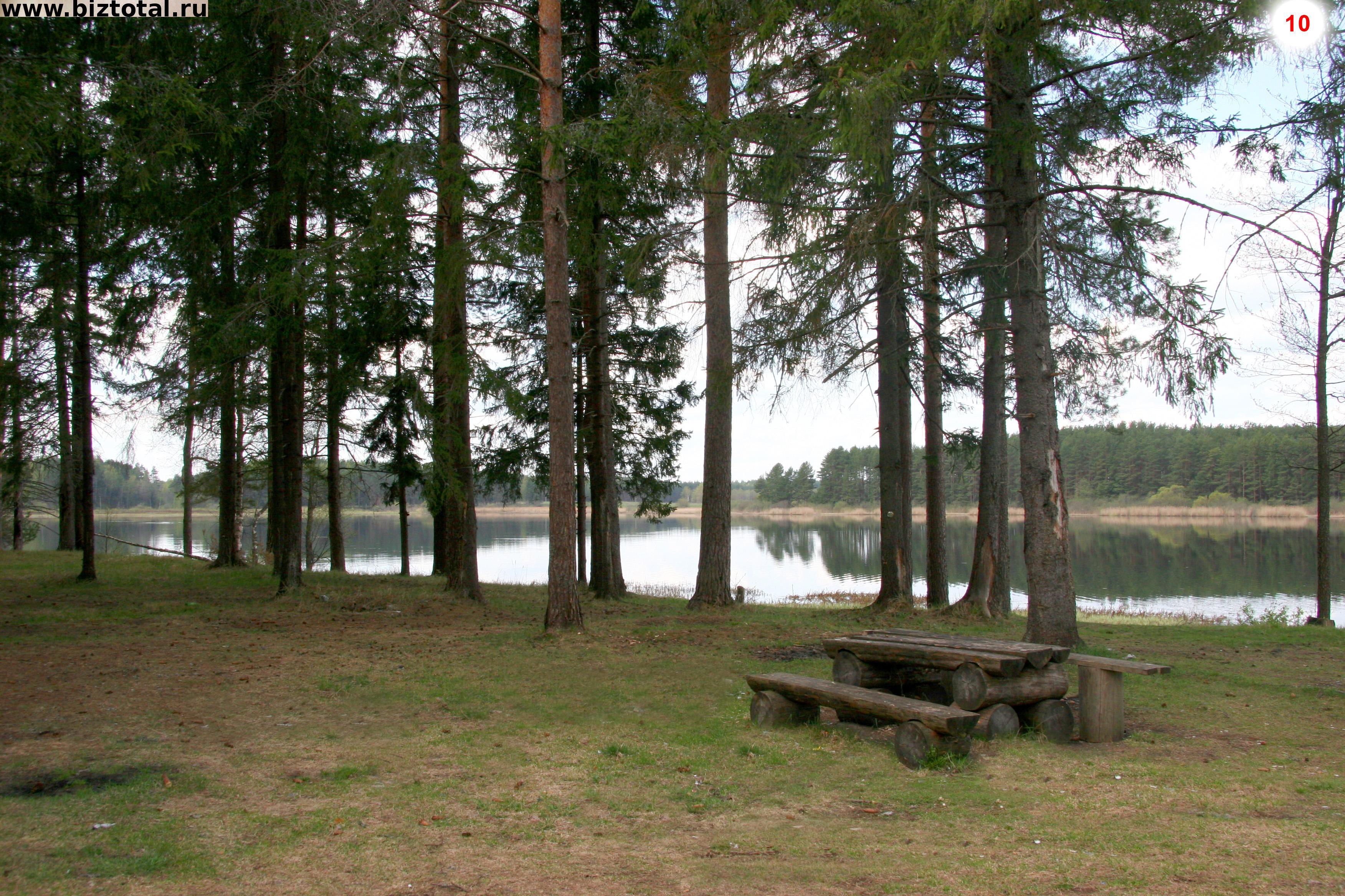 Озеро Бенцы в Тверской области