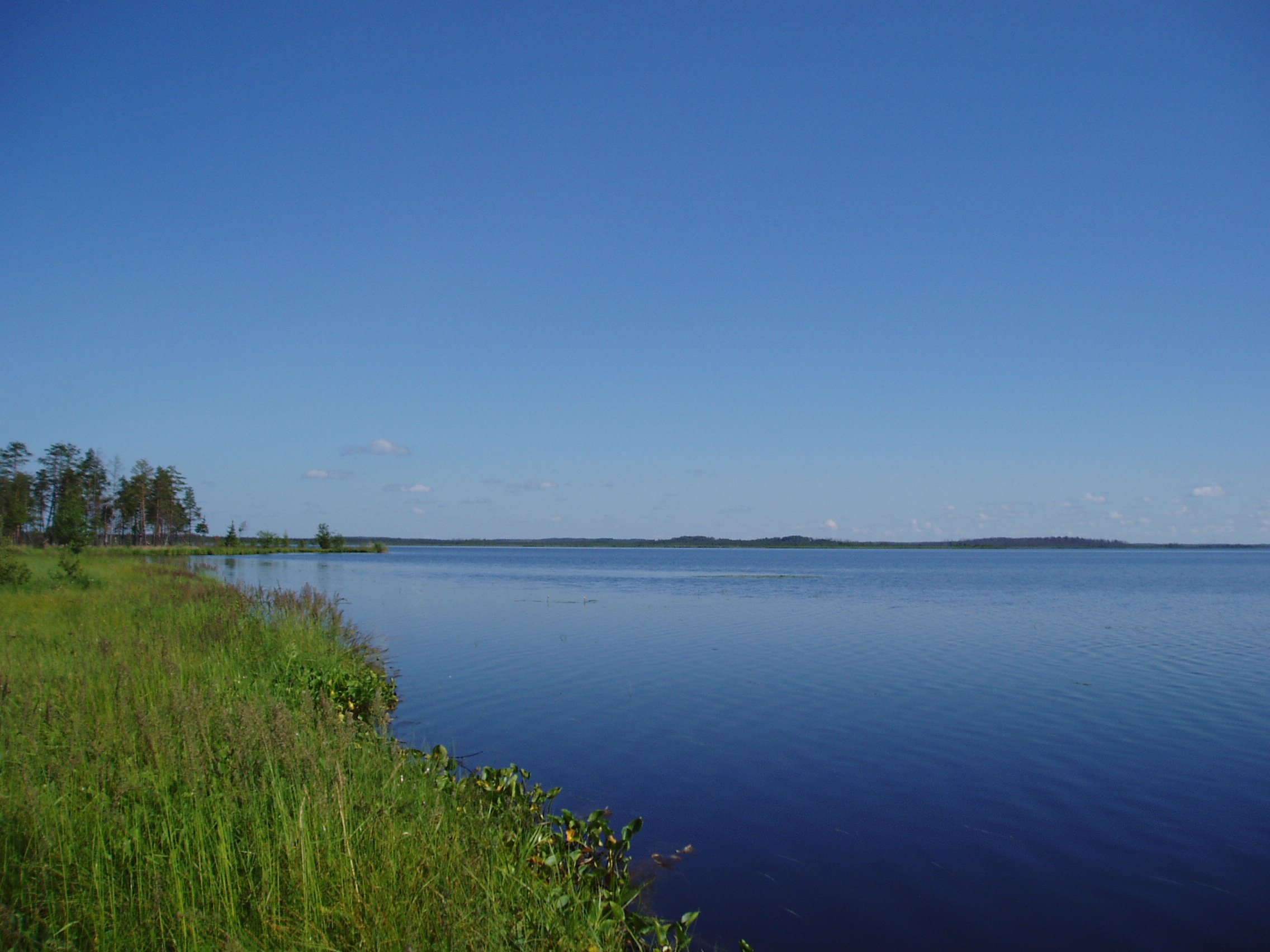 Озеро Вялье Ленинградская область