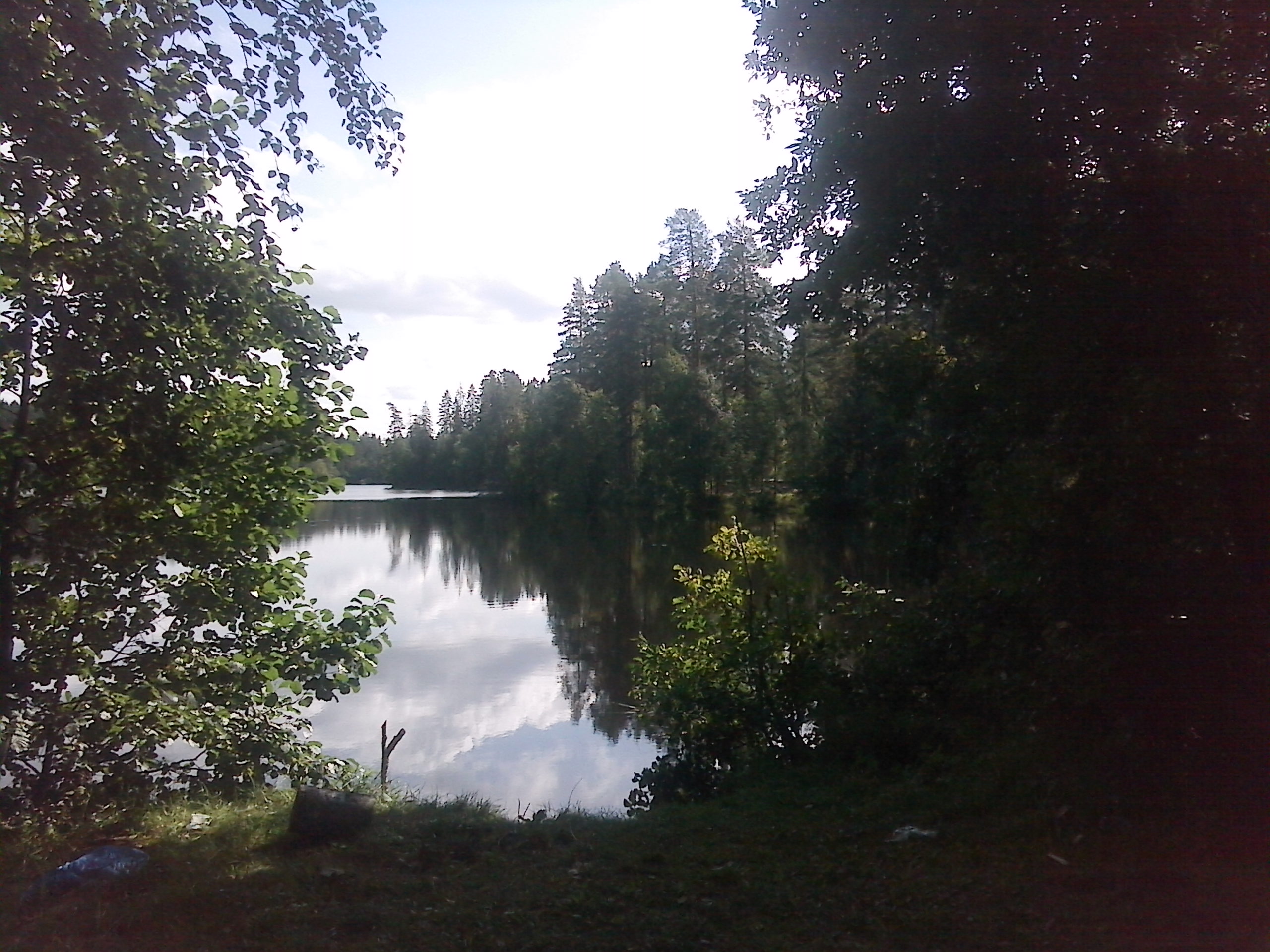 Озеро Луговое Ленинградская область рыбалка
