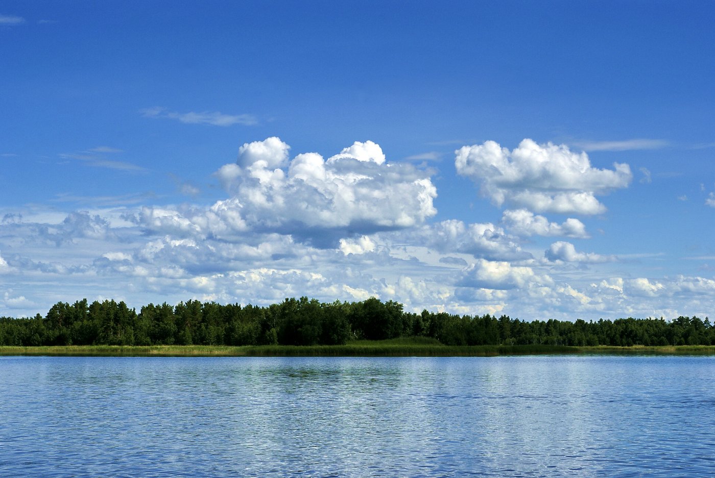 Село Гуселетово Алтайский край