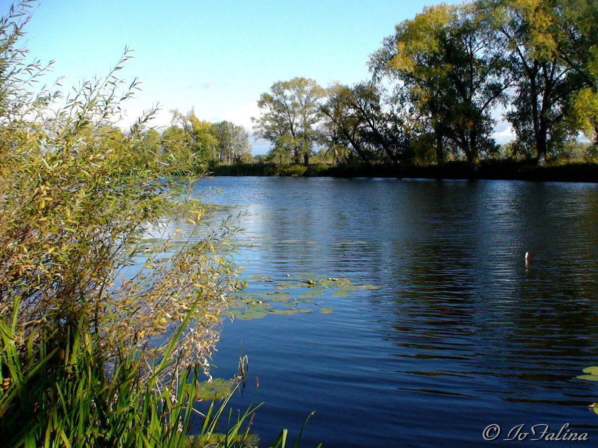 Озеро в Алексеевке Самара