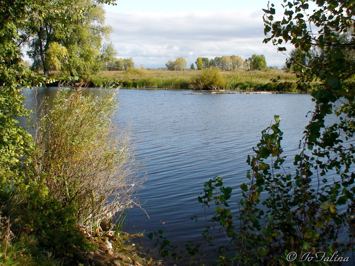 Озеро Алексеевское