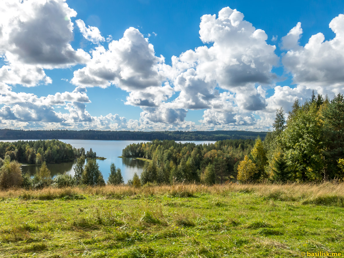 фото средней