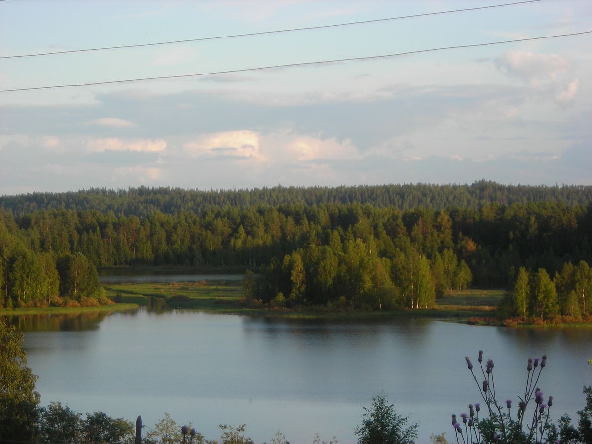 Озеро Андозеро Вологодская область