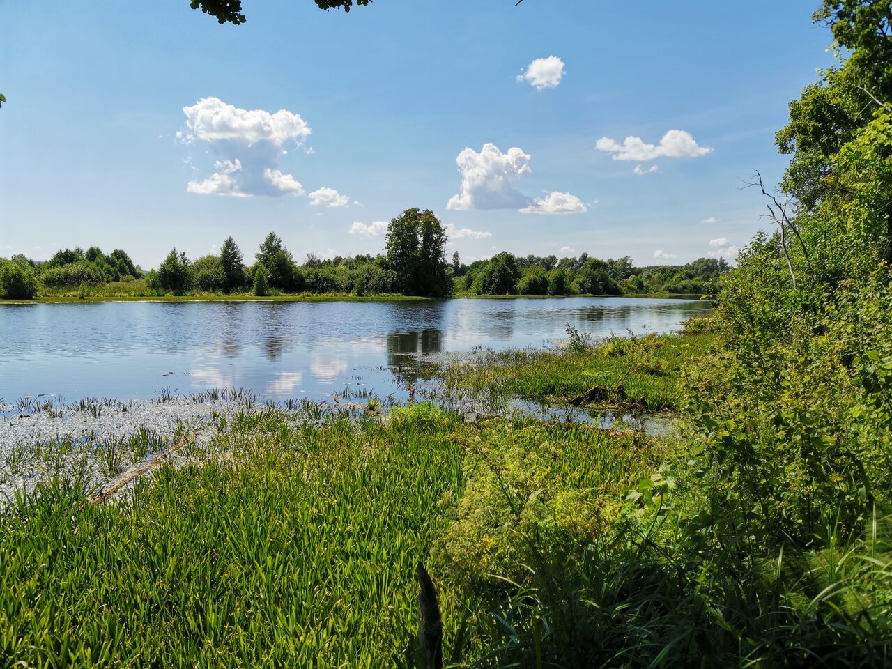 Озеро Чапчор Пензенская