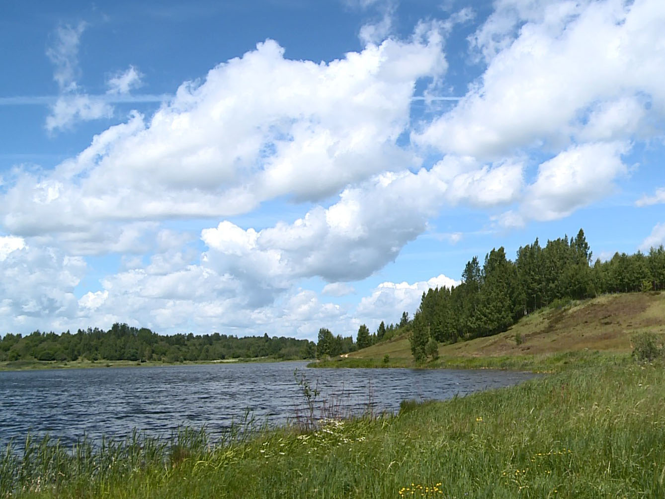 Озеро Купелище Смоленская область