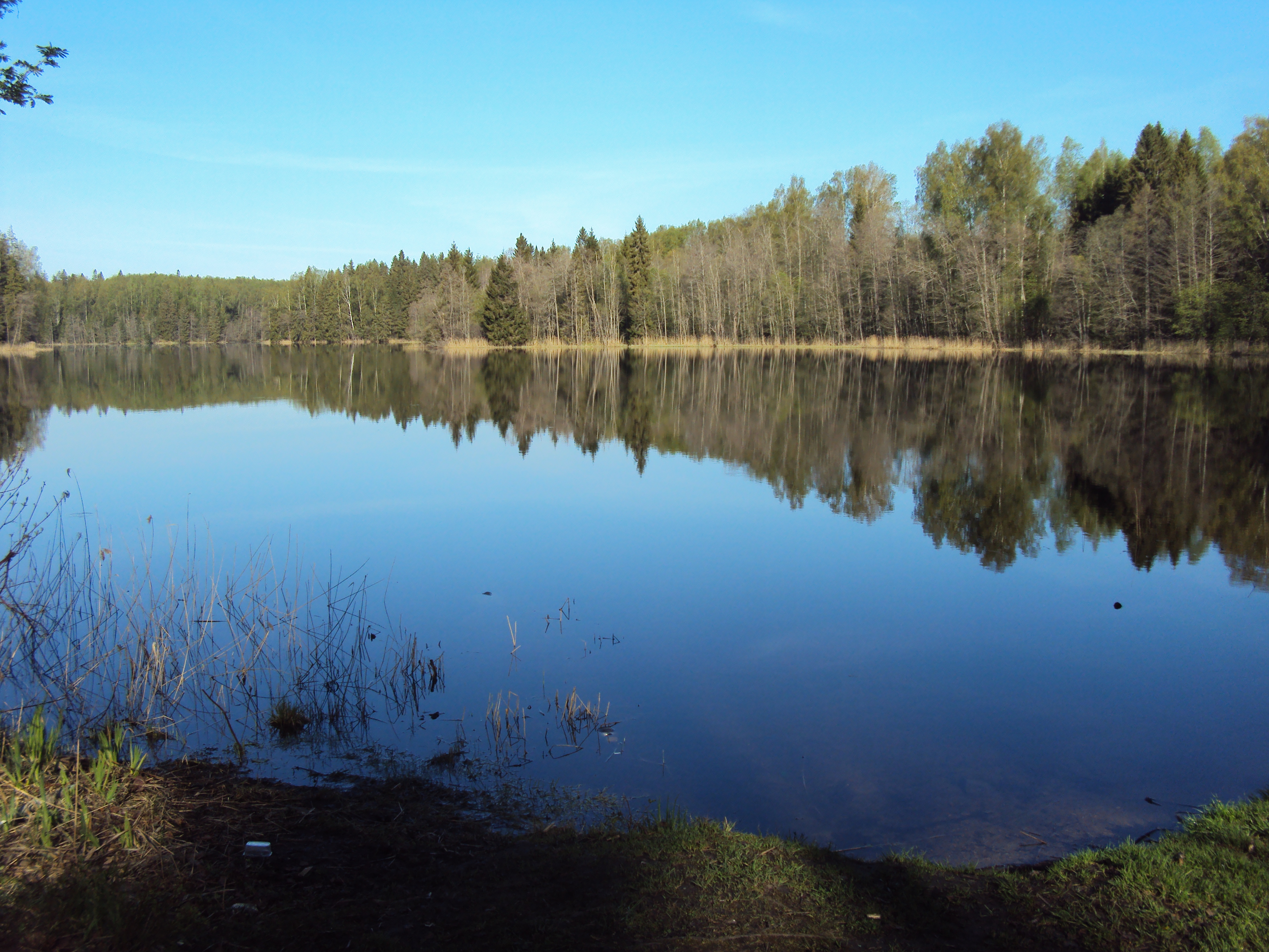 Озеро Клеветецкое Новгородская область