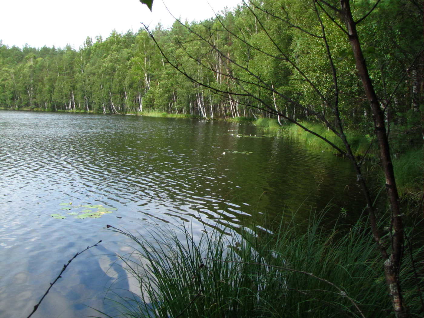 фото озер витебской области