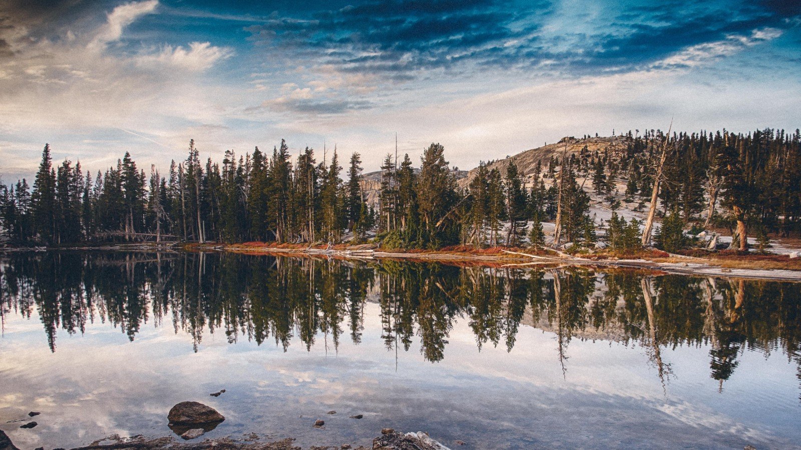 Хвойный лес отражение в озере