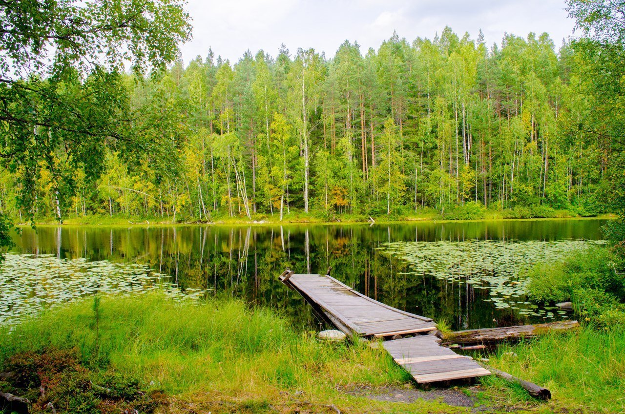 Озеро Рыбацкое Ленинградская область