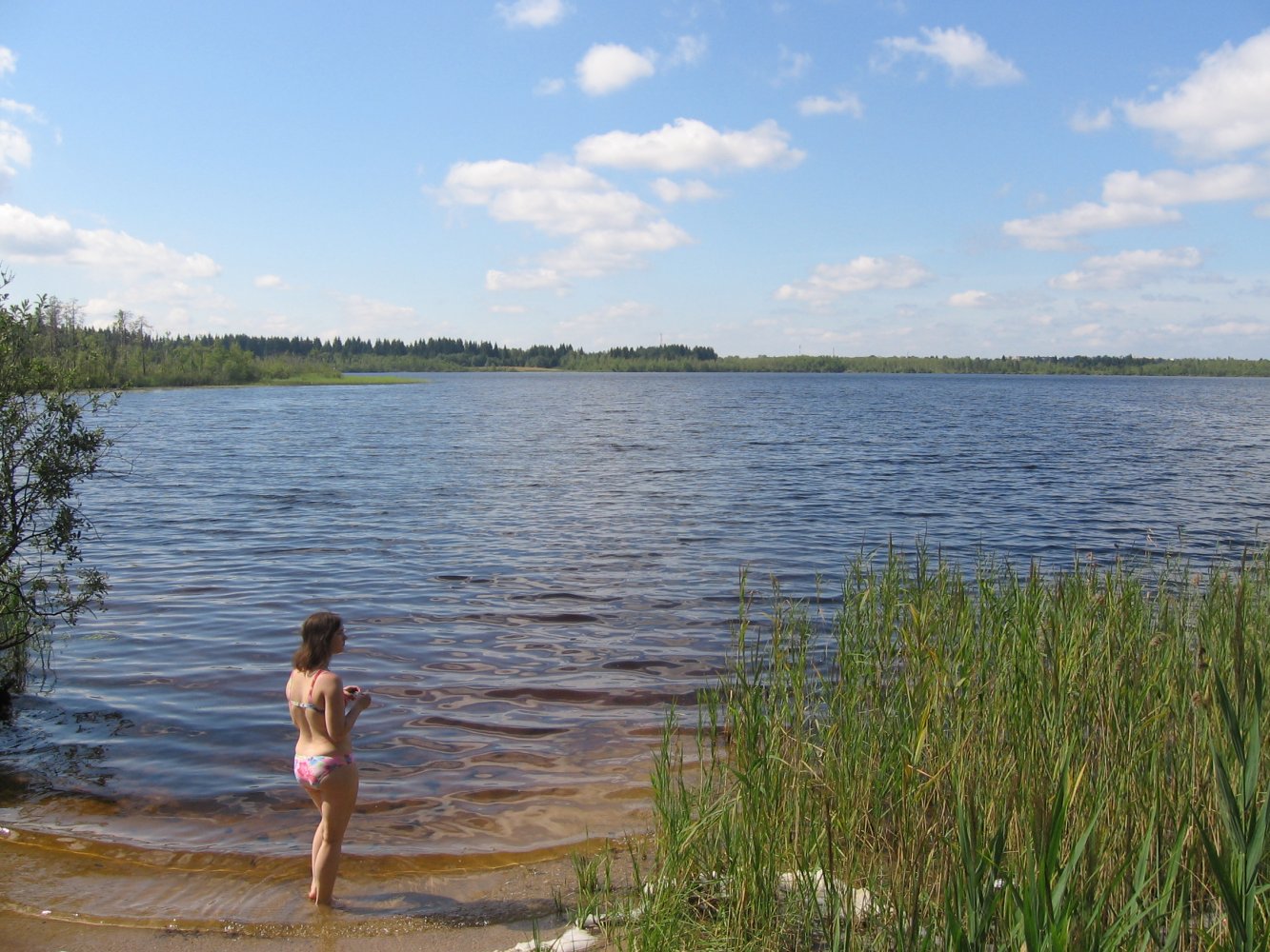 Озера в Окуловке Новгородской
