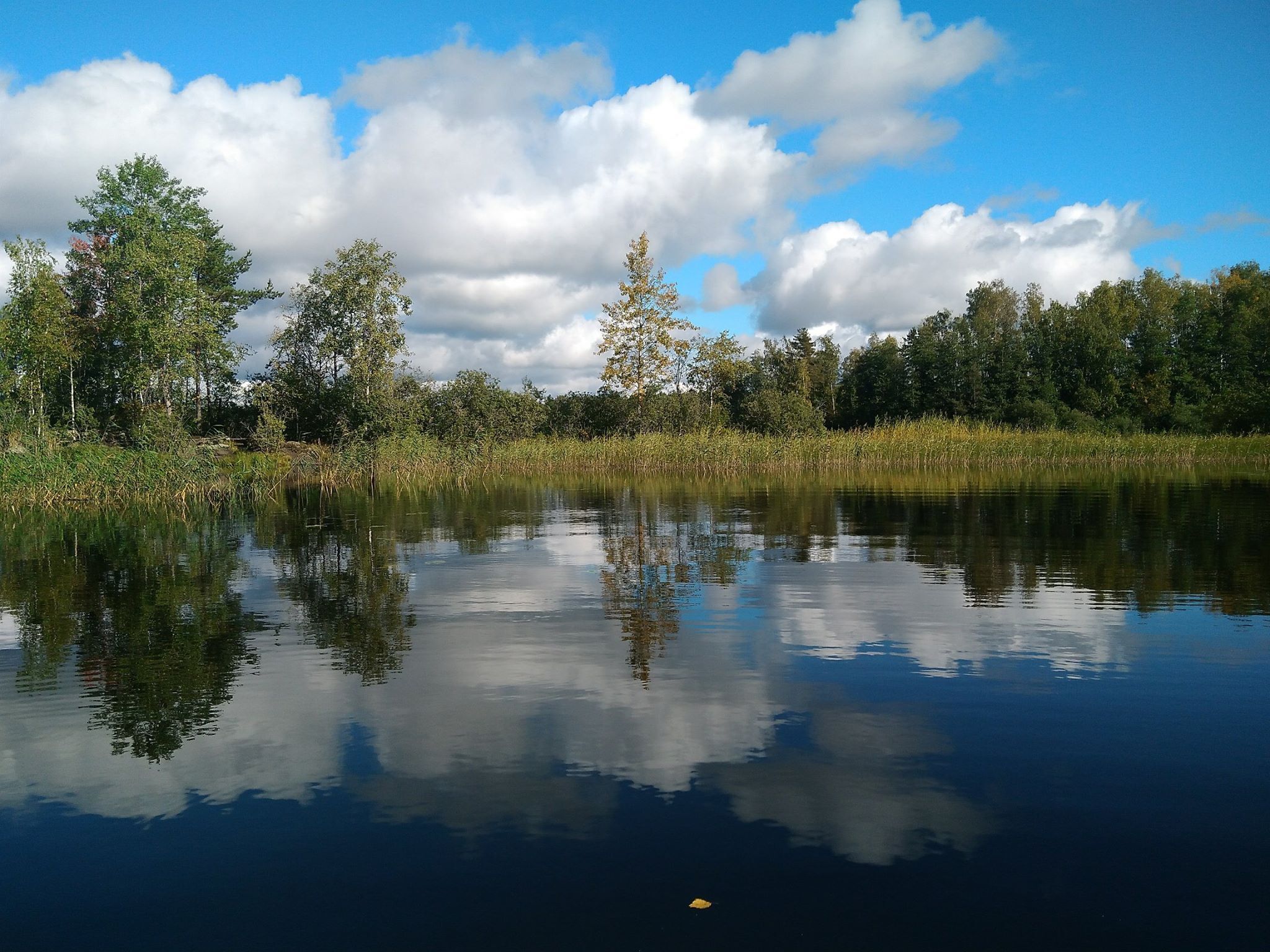 Любимовское озеро в Ленинградской
