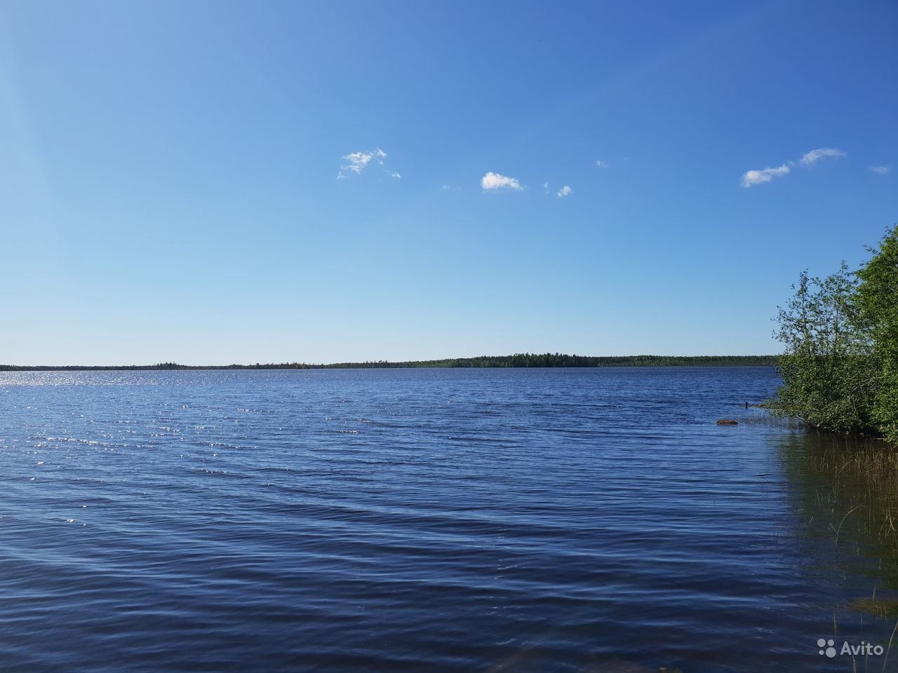 Озеро Кафтино Тверская область